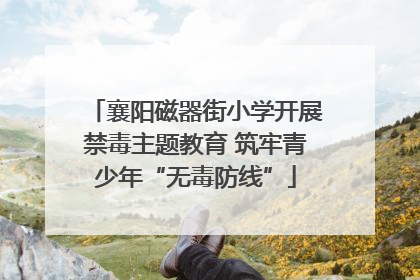 襄阳磁器街小学开展禁毒主题教育 筑牢青少年“无毒防线”
