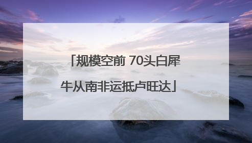规模空前 70头白犀牛从南非运抵卢旺达
