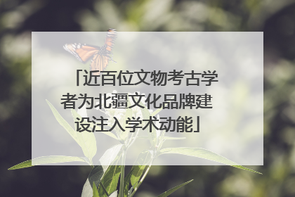 近百位文物考古学者为北疆文化品牌建设注入学术动能