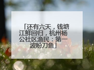 还有六天，钱塘江鲜回归，杭州杨公社区渔民：第一波盼刀鱼