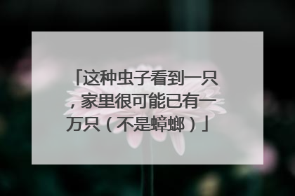 这种虫子看到一只，家里很可能已有一万只（不是蟑螂）