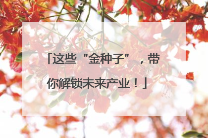 这些“金种子”，带你解锁未来产业！