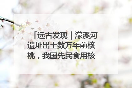 远古发现｜濛溪河遗址出土数万年前核桃，我国先民食用核桃历史大幅提前