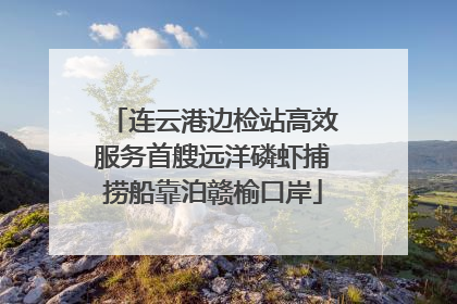 连云港边检站高效服务首艘远洋磷虾捕捞船靠泊赣榆口岸