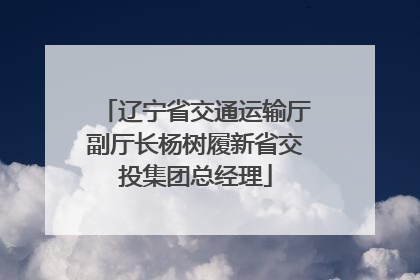 辽宁省交通运输厅副厅长杨树履新省交投集团总经理