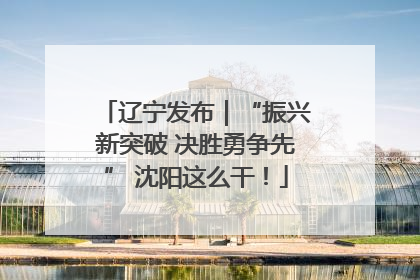 辽宁发布｜“振兴新突破 决胜勇争先” 沈阳这么干！
