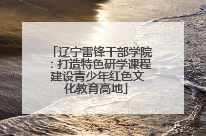 辽宁雷锋干部学院：打造特色研学课程 建设青少年红色文化教育高地