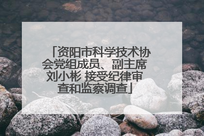 资阳市科学技术协会党组成员、副主席刘小彬 接受纪律审查和监察调查