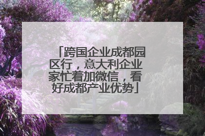 跨国企业成都园区行，意大利企业家忙着加微信，看好成都产业优势
