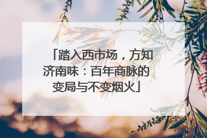 踏入西市场，方知济南味：百年商脉的变局与不变烟火