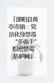 邵阳县黄亭市镇：党员化身禁毒“多面手” 织密禁毒防护网