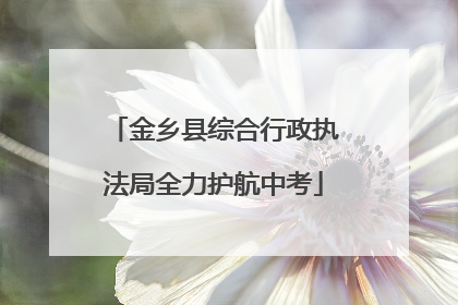 金乡县综合行政执法局全力护航中考