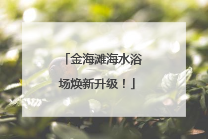 金海滩海水浴场焕新升级！