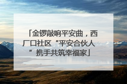 金锣敲响平安曲，西厂口社区“平安合伙人”携手共筑幸福家