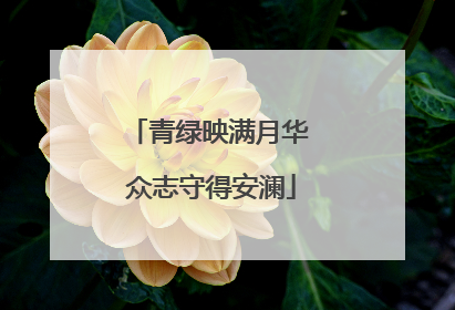 青绿映满月华 众志守得安澜