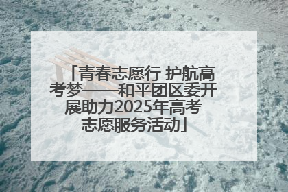 青春志愿行 护航高考梦——和平团区委开展助力2025年高考志愿服务活动