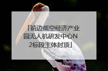 靖边低空经济产业园无人机研发中心N2标段主体封顶