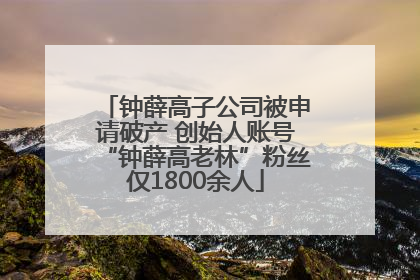 钟薛高子公司被申请破产 创始人账号“钟薛高老林”粉丝仅1800余人