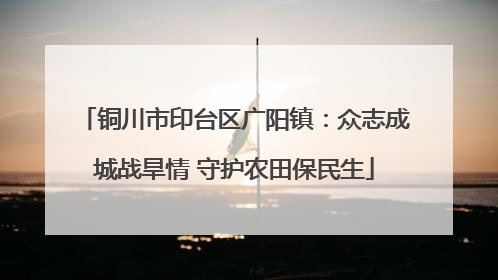 铜川市印台区广阳镇：众志成城战旱情 守护农田保民生