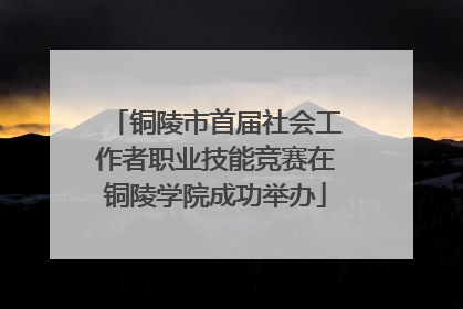 铜陵市首届社会工作者职业技能竞赛在铜陵学院成功举办