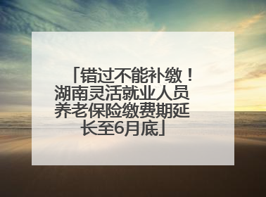 错过不能补缴！湖南灵活就业人员养老保险缴费期延长至6月底