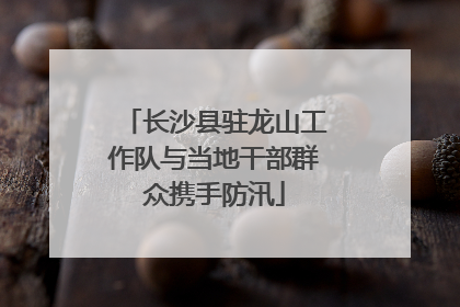 长沙县驻龙山工作队与当地干部群众携手防汛