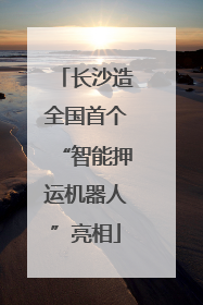 长沙造全国首个“智能押运机器人”亮相