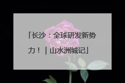 长沙：全球研发新势力！｜山水洲城记