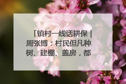 镇村一线话耕保｜周张博：村民但凡种树、建棚、盖房，都要向街道报批
