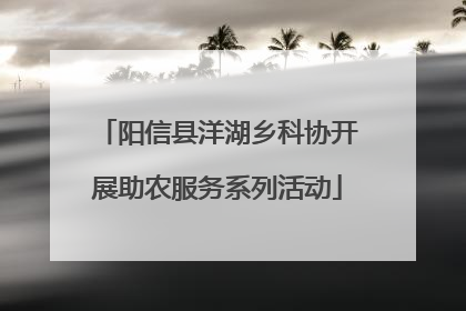 阳信县洋湖乡科协开展助农服务系列活动