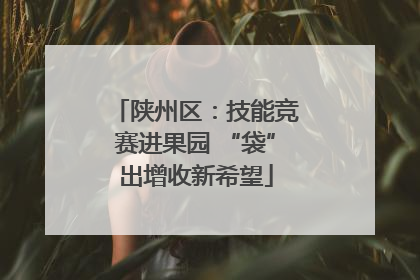 陕州区：技能竞赛进果园 “袋”出增收新希望