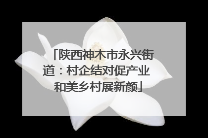 陕西神木市永兴街道：村企结对促产业 和美乡村展新颜