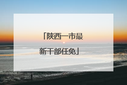 陕西一市最新干部任免