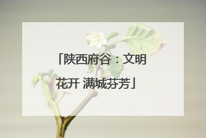 陕西府谷：文明花开 满城芬芳