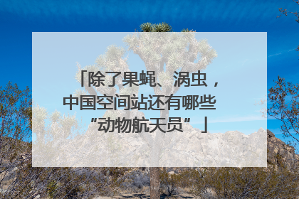 除了果蝇、涡虫，中国空间站还有哪些“动物航天员”
