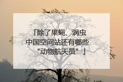 除了果蝇、涡虫 中国空间站还有哪些“动物航天员”