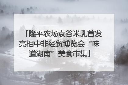 隆平农场袁谷米乳首发亮相中非经贸博览会“味道湖南”美食市集