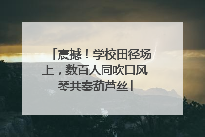 震撼！学校田径场上，数百人同吹口风琴共奏葫芦丝