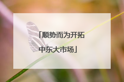 顺势而为开拓中东大市场