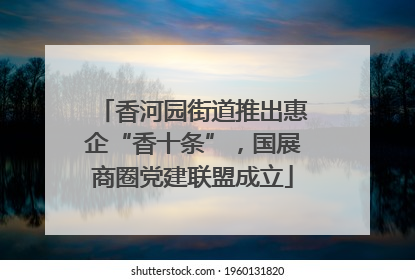 香河园街道推出惠企“香十条”，国展商圈党建联盟成立
