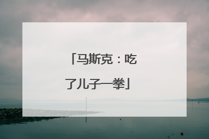 马斯克：吃了儿子一拳