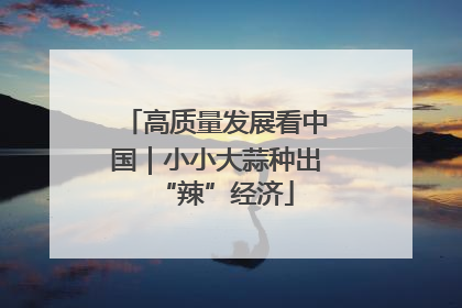 高质量发展看中国｜小小大蒜种出“辣”经济