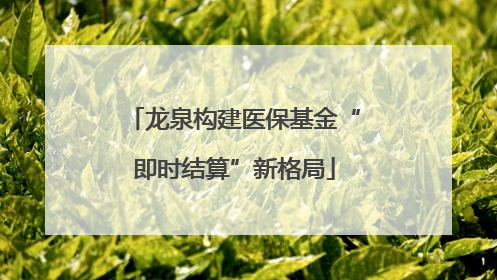 龙泉构建医保基金“即时结算”新格局