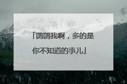 鹮鹮我啊，多的是你不知道的事儿