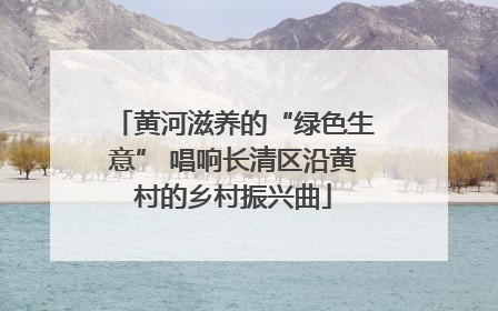 黄河滋养的“绿色生意” 唱响长清区沿黄村的乡村振兴曲