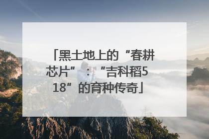 黑土地上的“春耕芯片”：“吉科稻518”的育种传奇