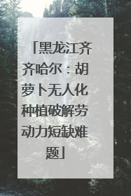 黑龙江齐齐哈尔：胡萝卜无人化种植破解劳动力短缺难题