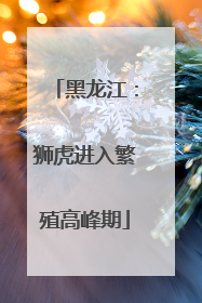 黑龙江：狮虎进入繁殖高峰期