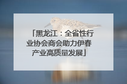 黑龙江：全省性行业协会商会助力伊春产业高质量发展