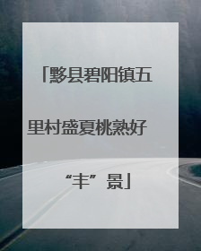黟县碧阳镇五里村盛夏桃熟好“丰”景